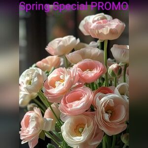 🦋🦋SPRING Special PROMO🦋🦋🦋